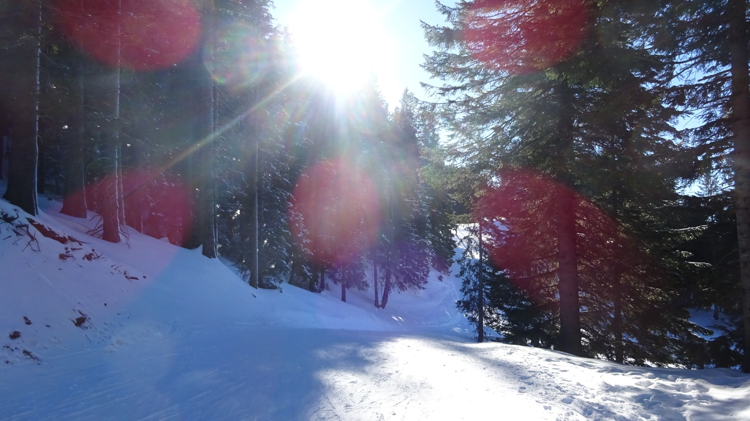 DSC01785.JPG
