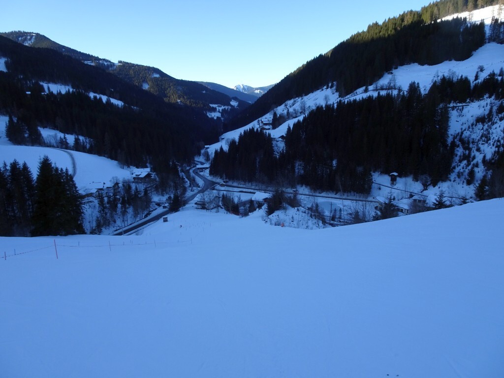 DSC01786.jpg