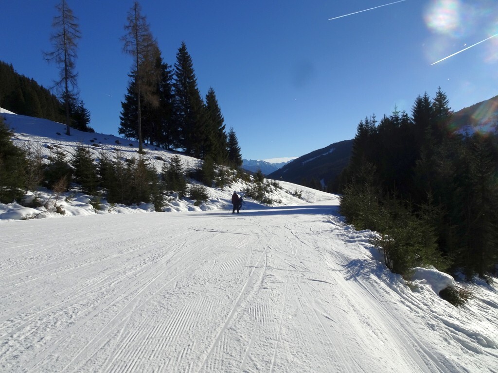 DSC01826.jpg