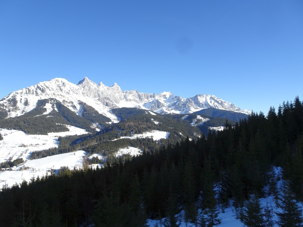 DSC01905.jpg