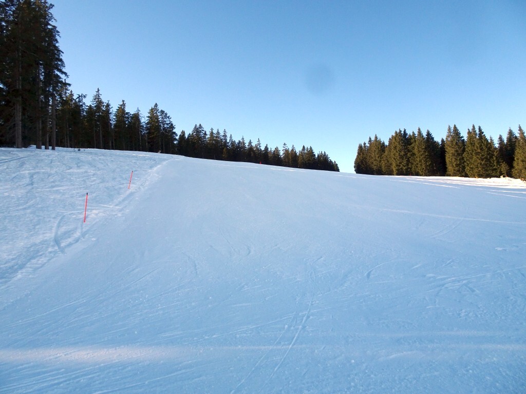 DSC01928.jpg