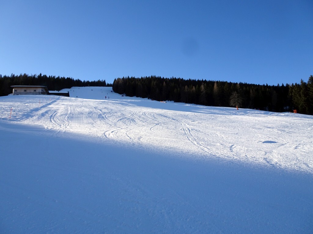 DSC01937.jpg