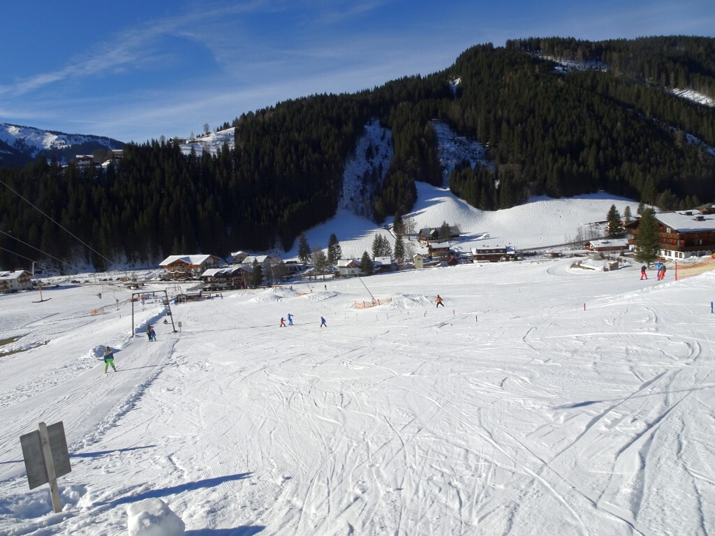 DSC02028.jpg