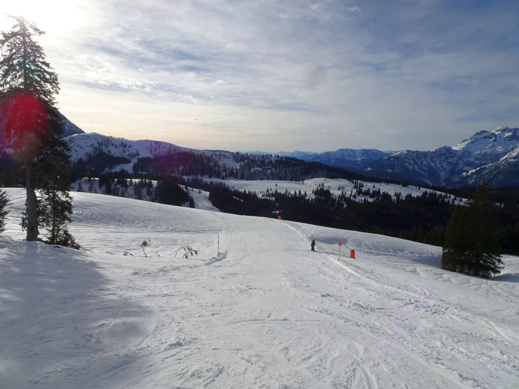 DSC02081.jpg