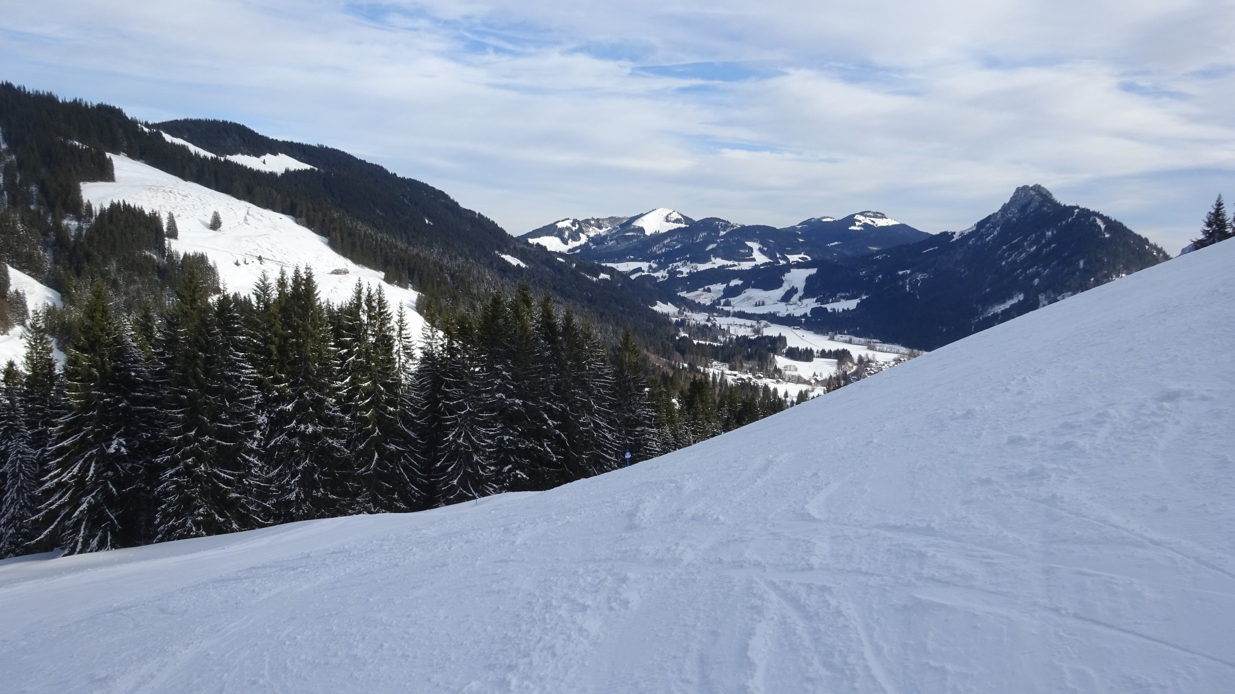 DSC02102.JPG
