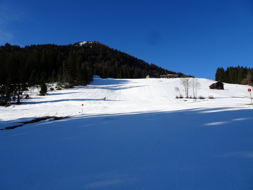 DSC02356.jpg