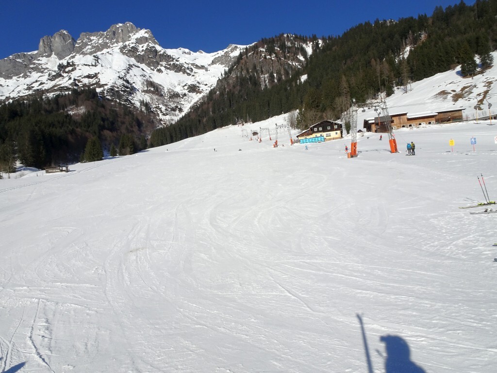 DSC02395.jpg