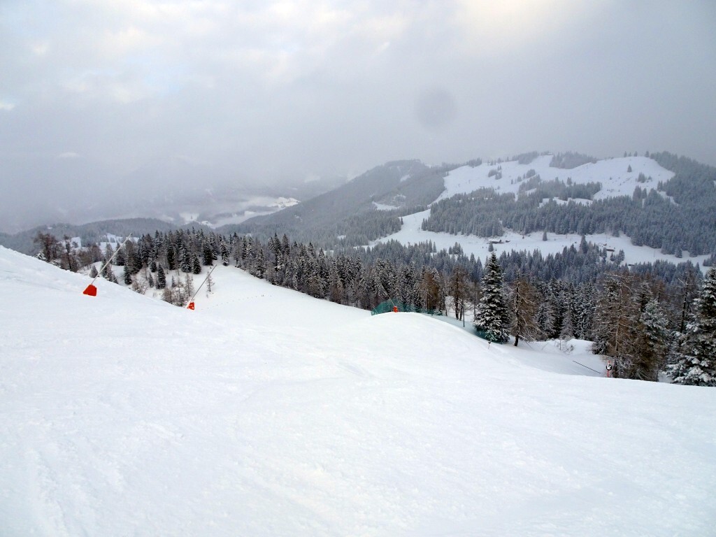 DSC02451.jpg