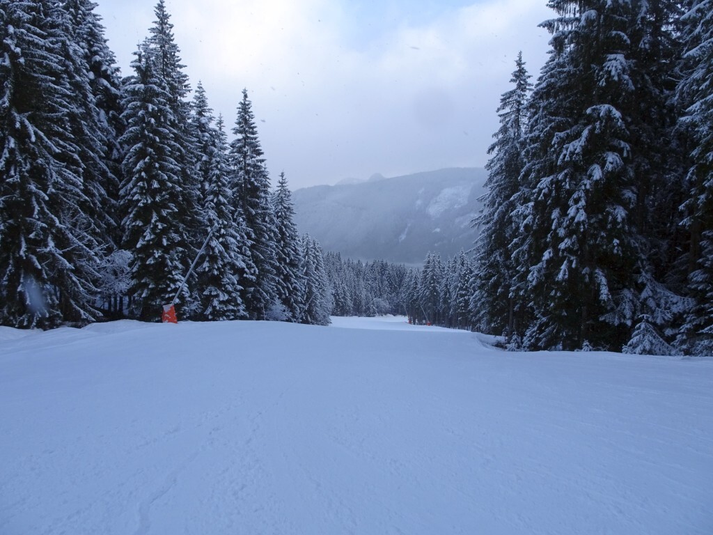 DSC02455.jpg