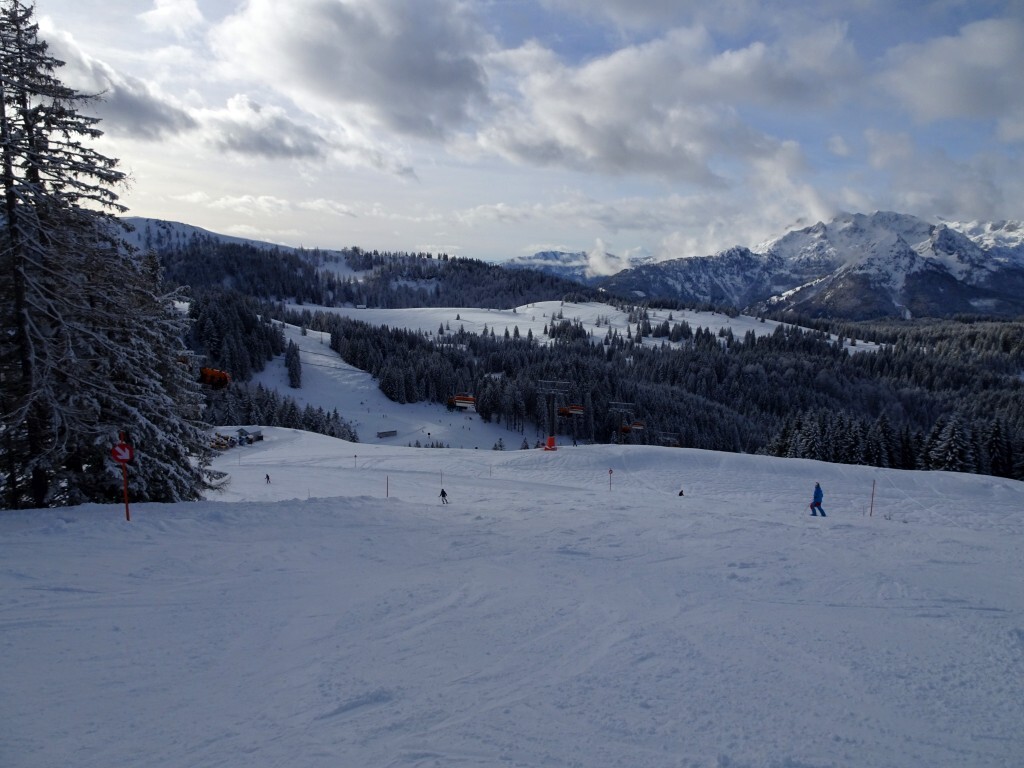 DSC02508.jpg