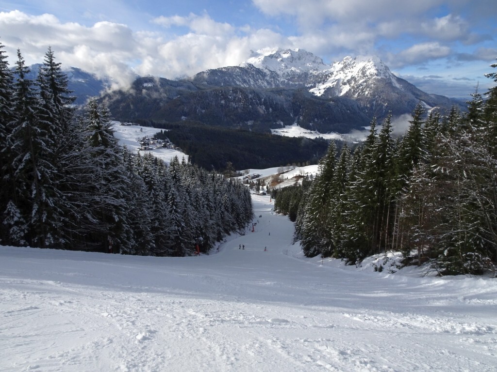 DSC02527.jpg