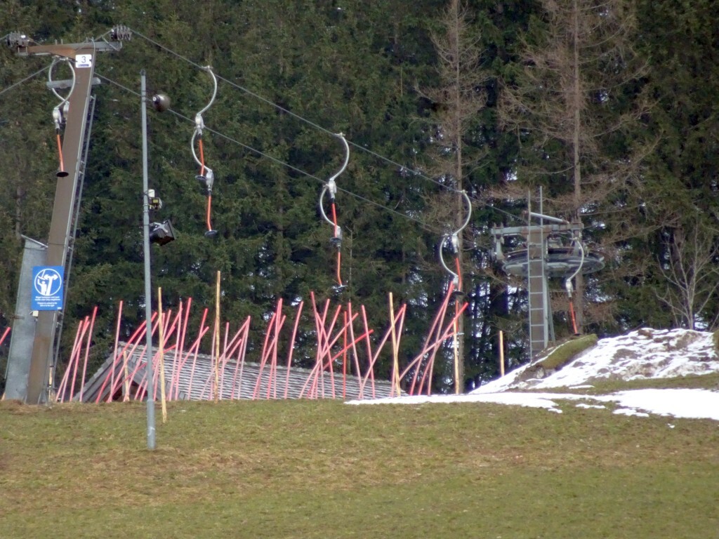 DSC02669.jpg