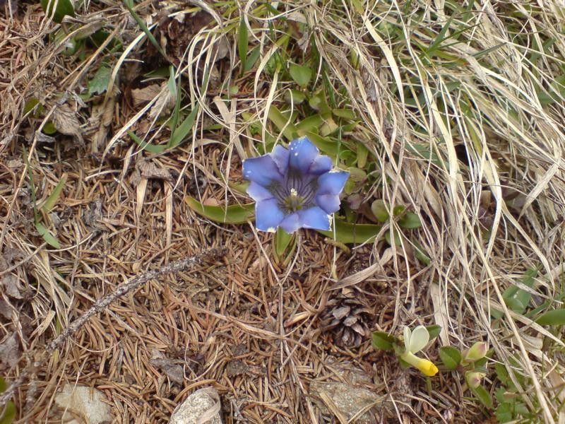 DSC02985.JPG