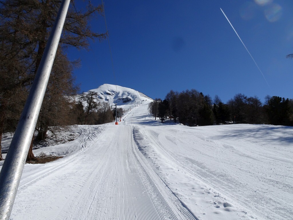 DSC03460.jpg