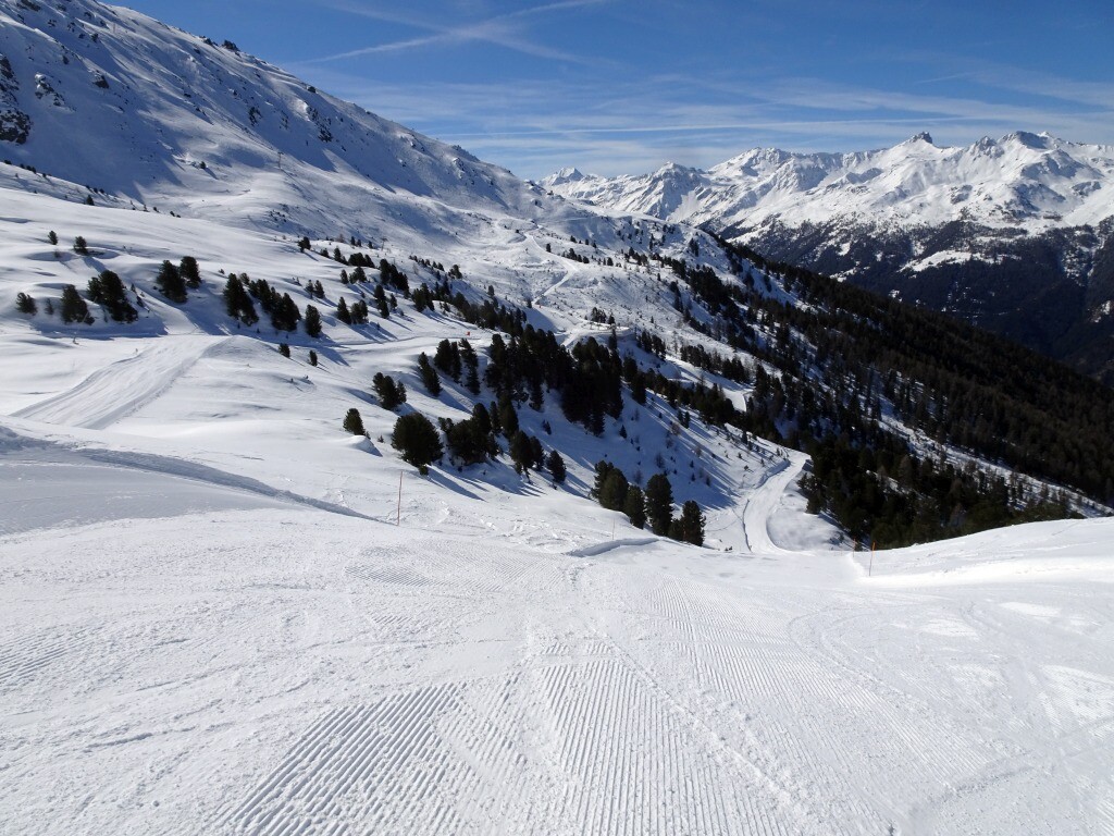 DSC03482.jpg