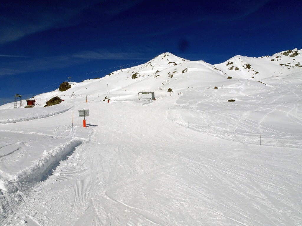 DSC03503.jpg