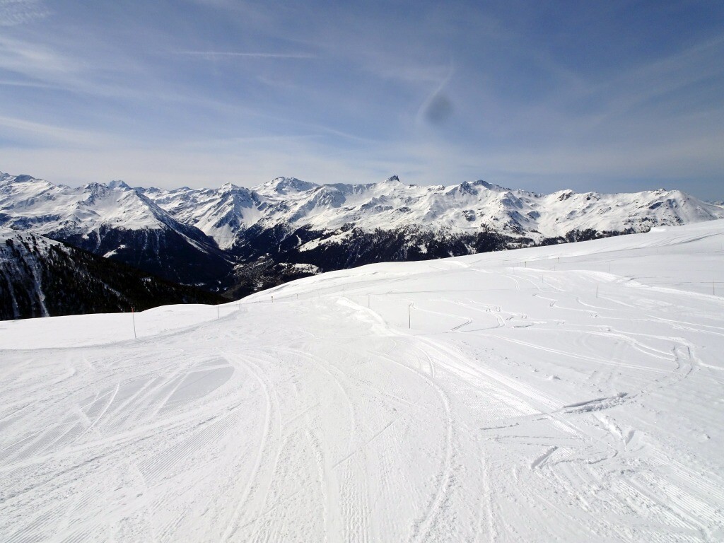 DSC03516.jpg