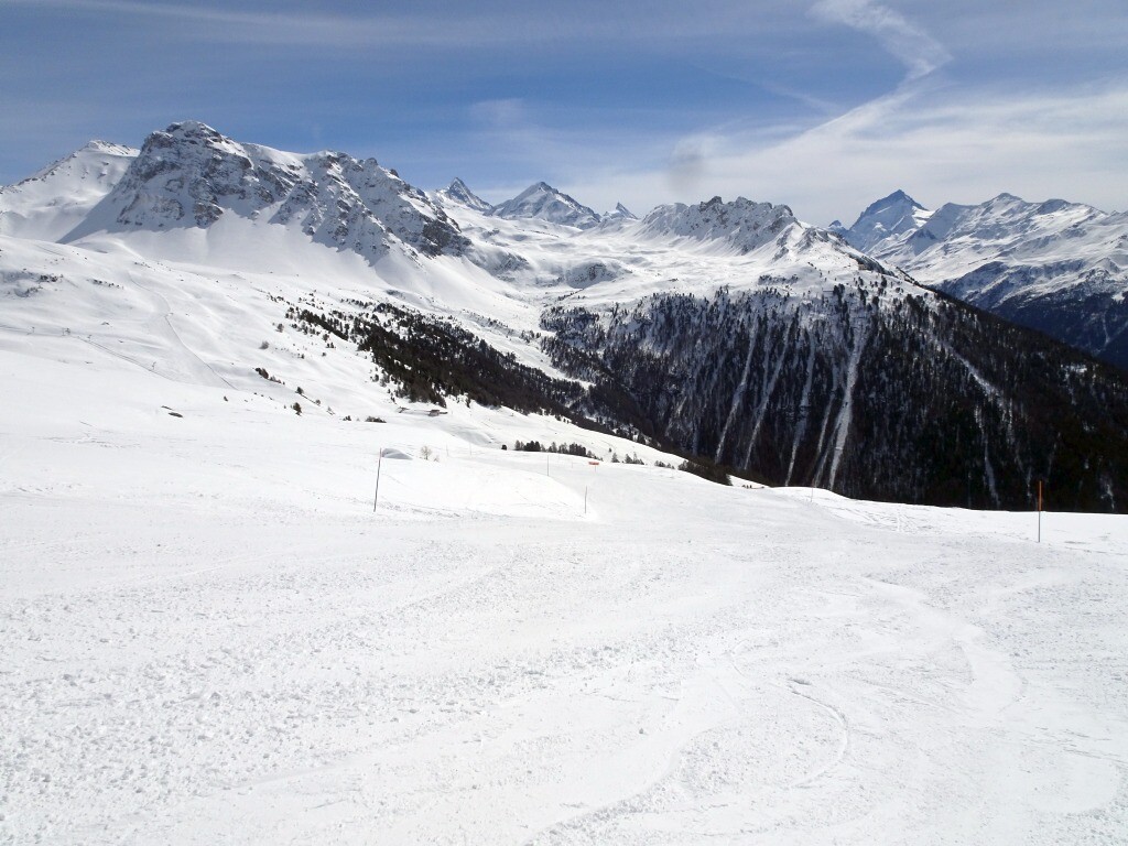 DSC03524.jpg