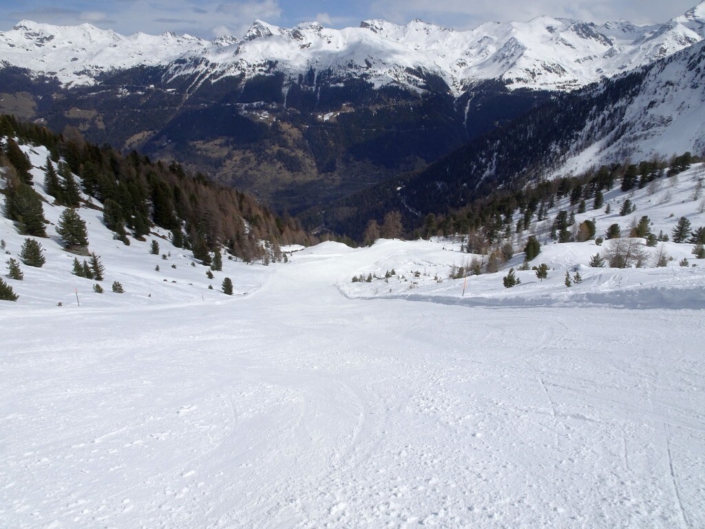 DSC03631.jpg