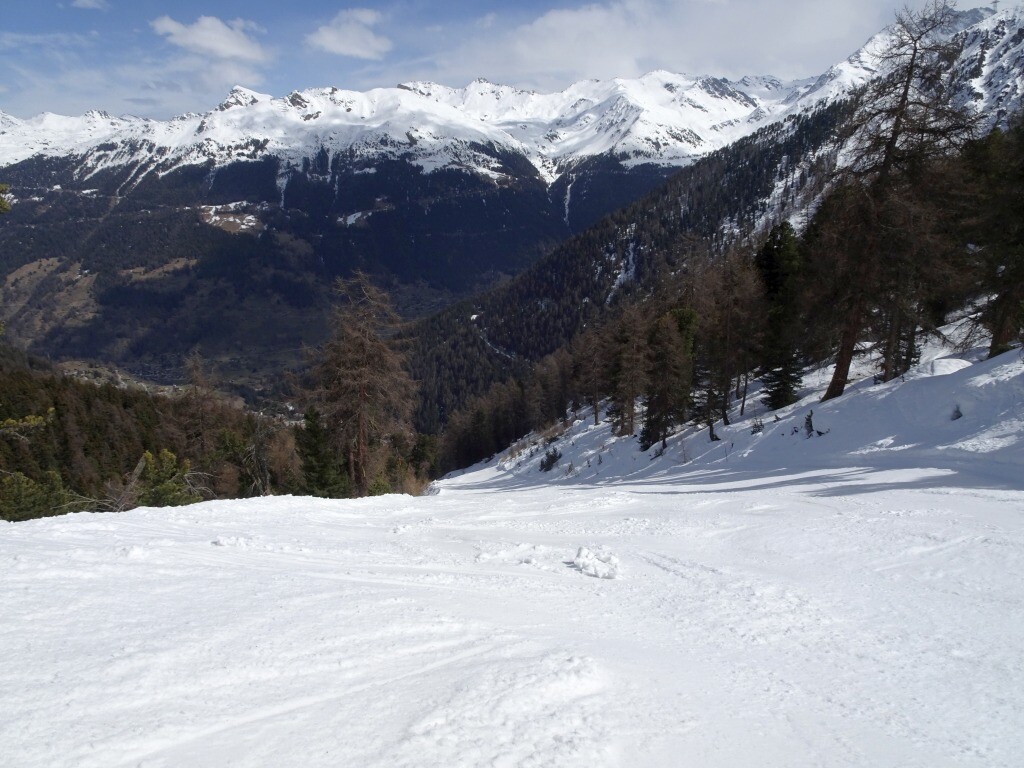 DSC03633.jpg