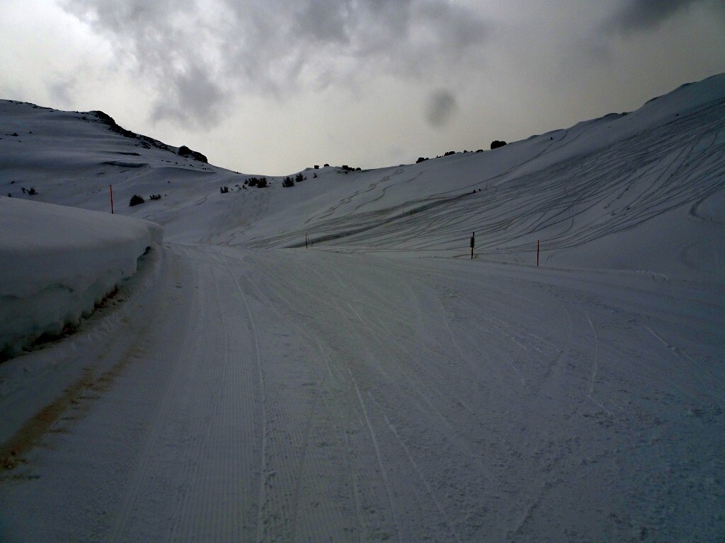 DSC03737.jpg