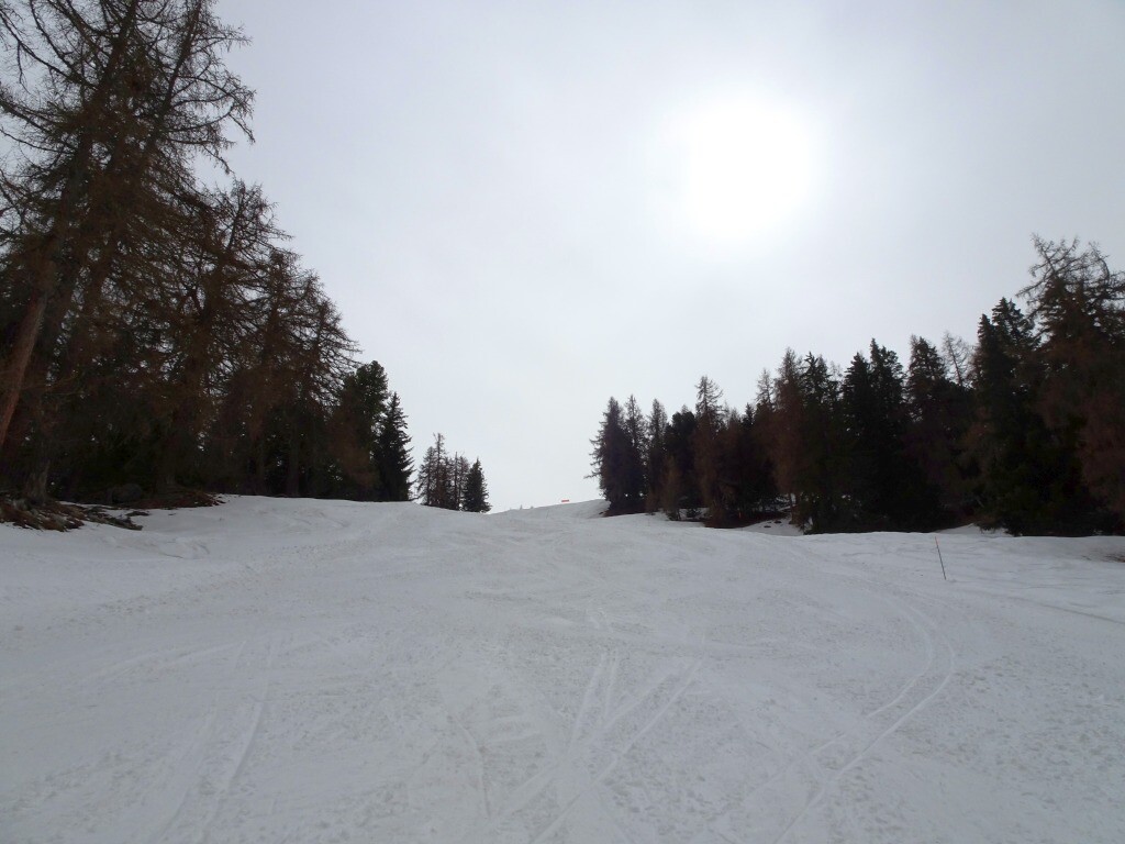 DSC03771.jpg