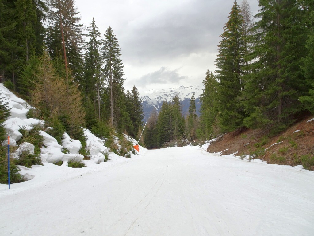 DSC03778.jpg