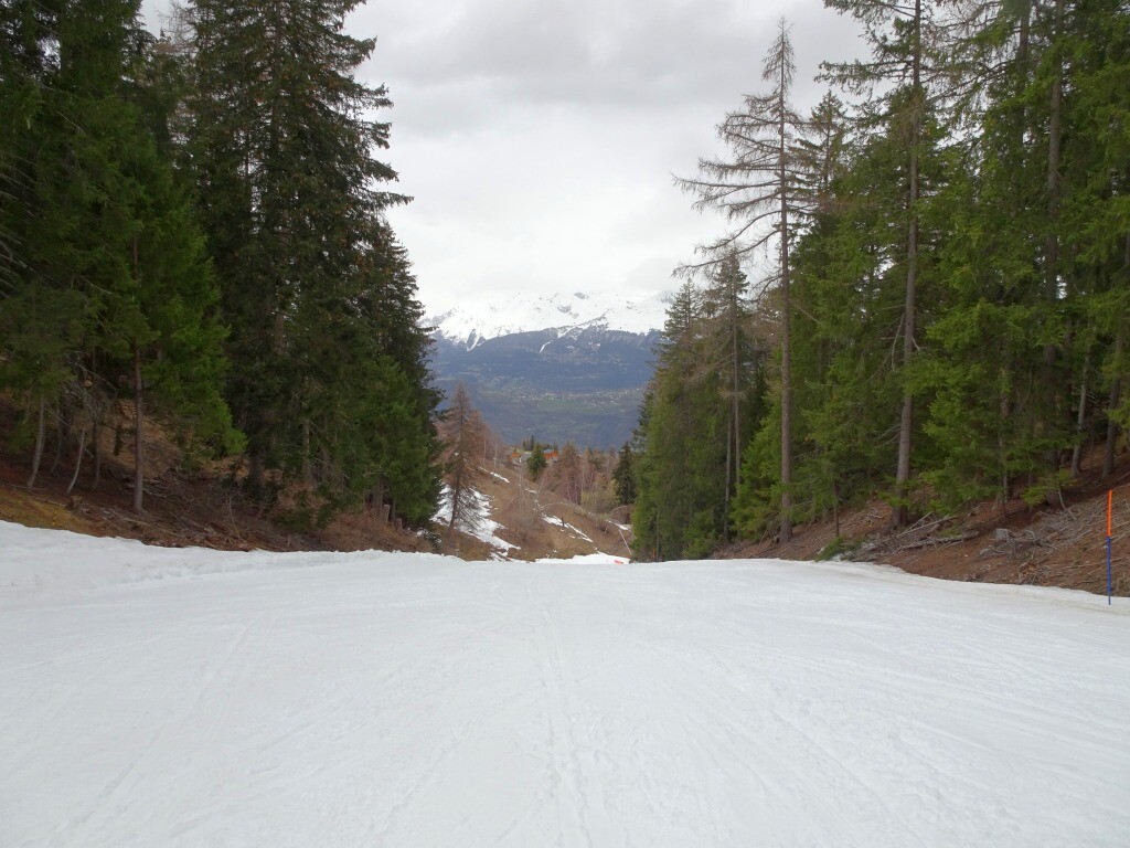 DSC03782.jpg
