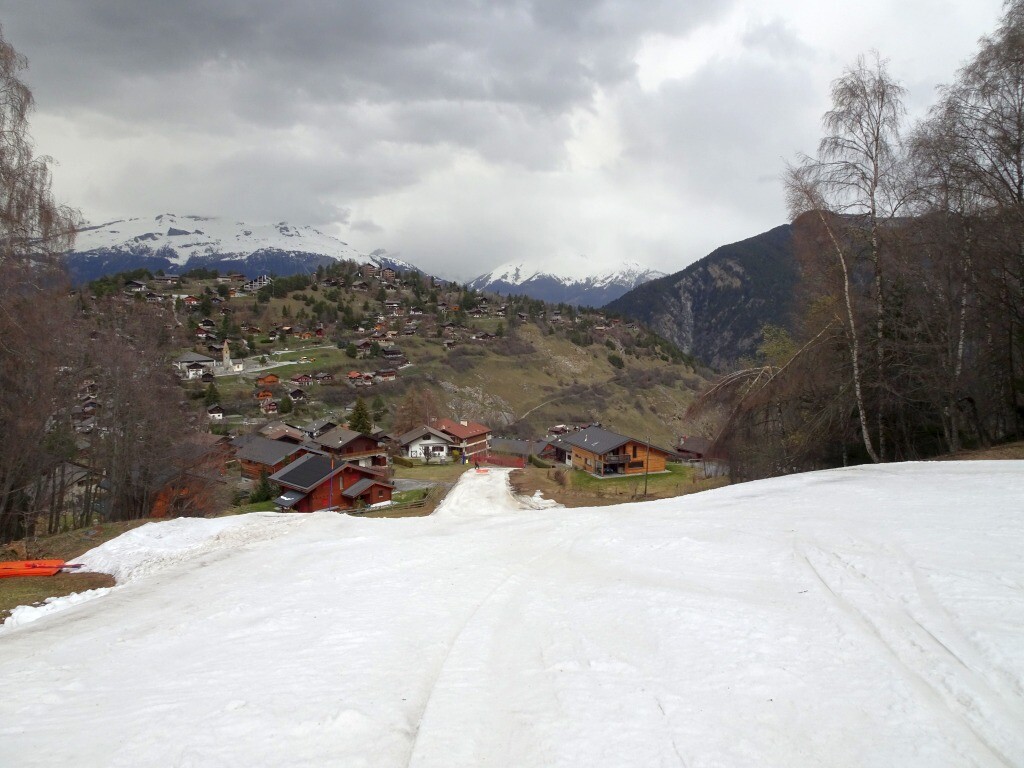 DSC03785.jpg