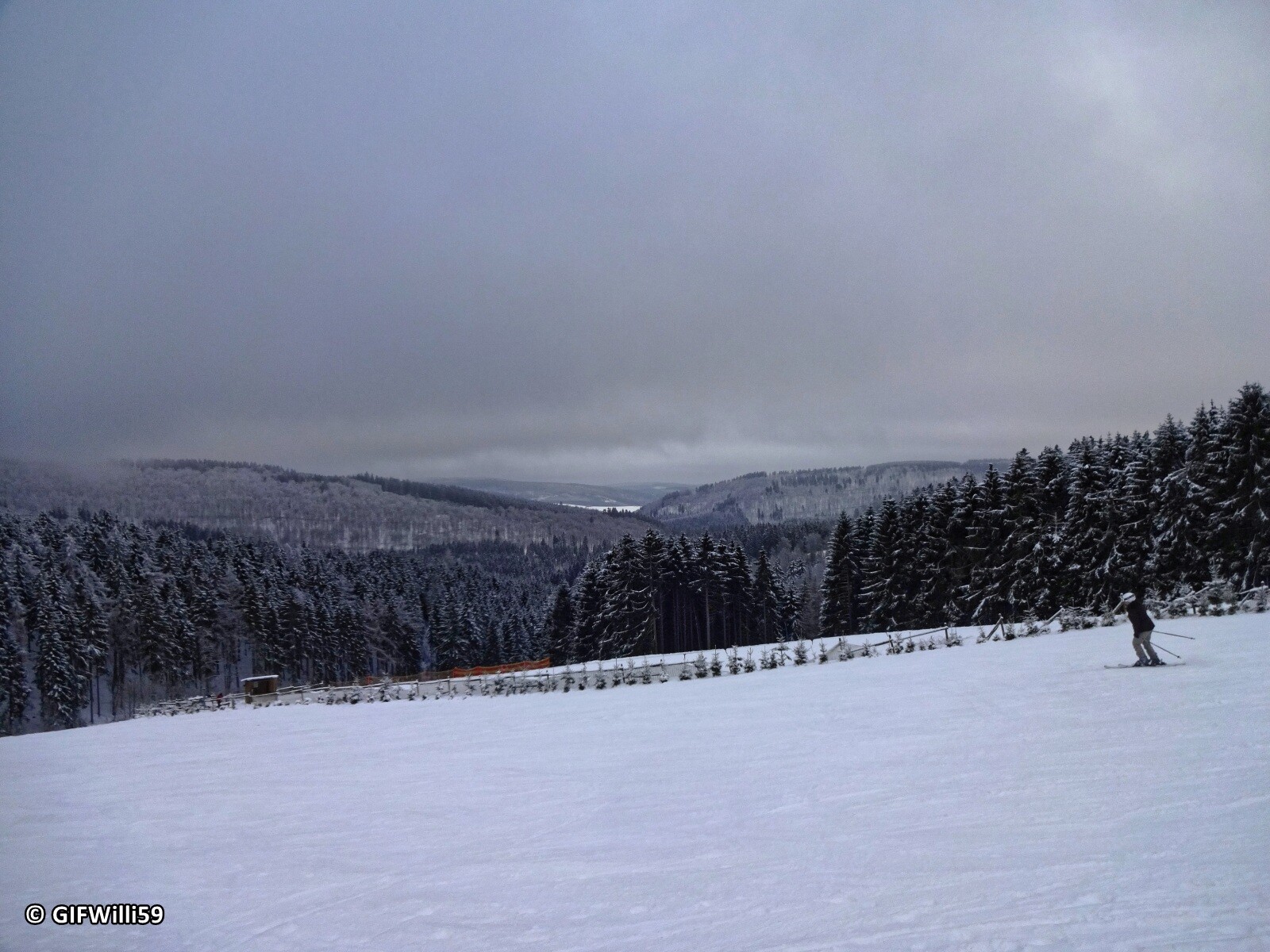 DSC05340_DxO.jpg