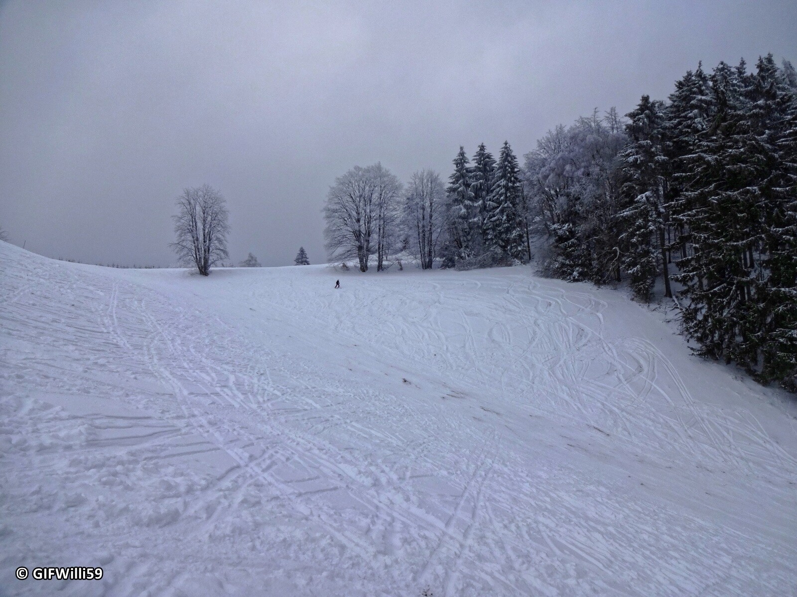 DSC05346_DxO.jpg
