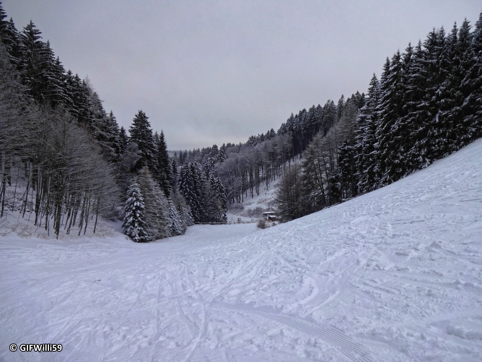 DSC05348_DxO.jpg