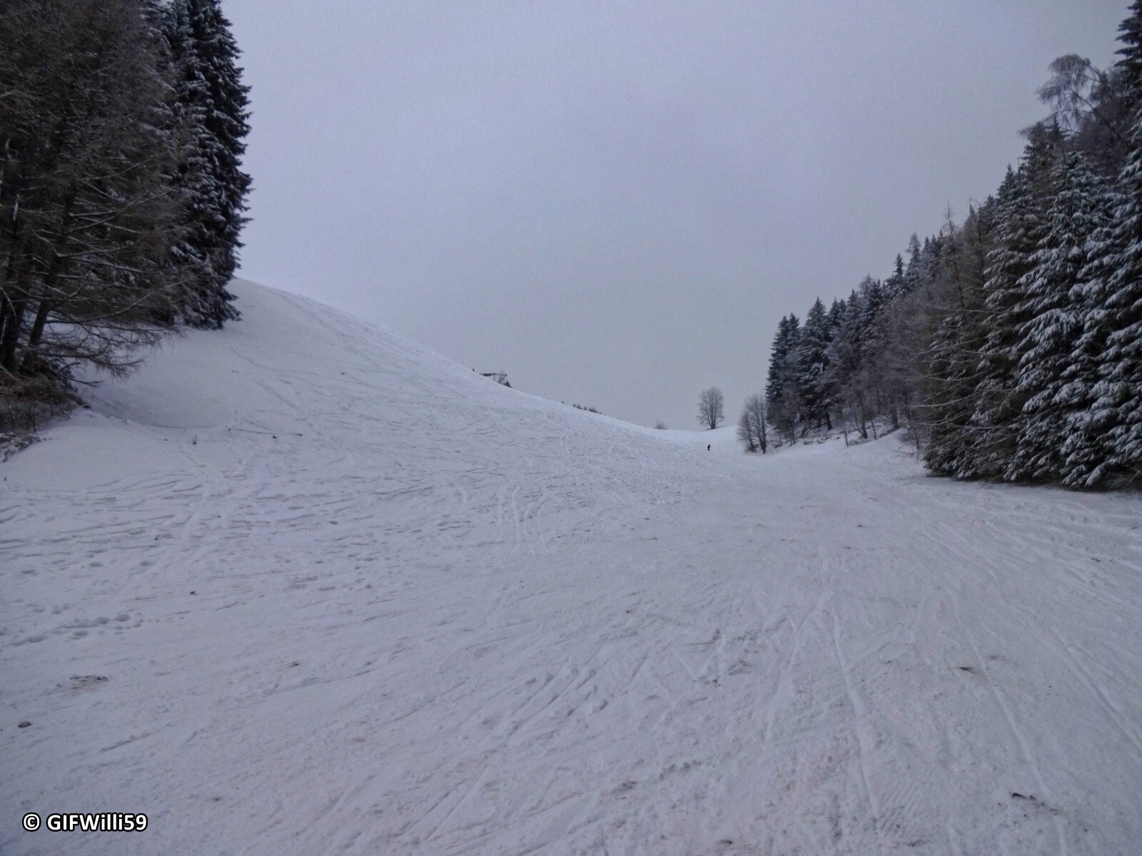 DSC05353_DxO.jpg