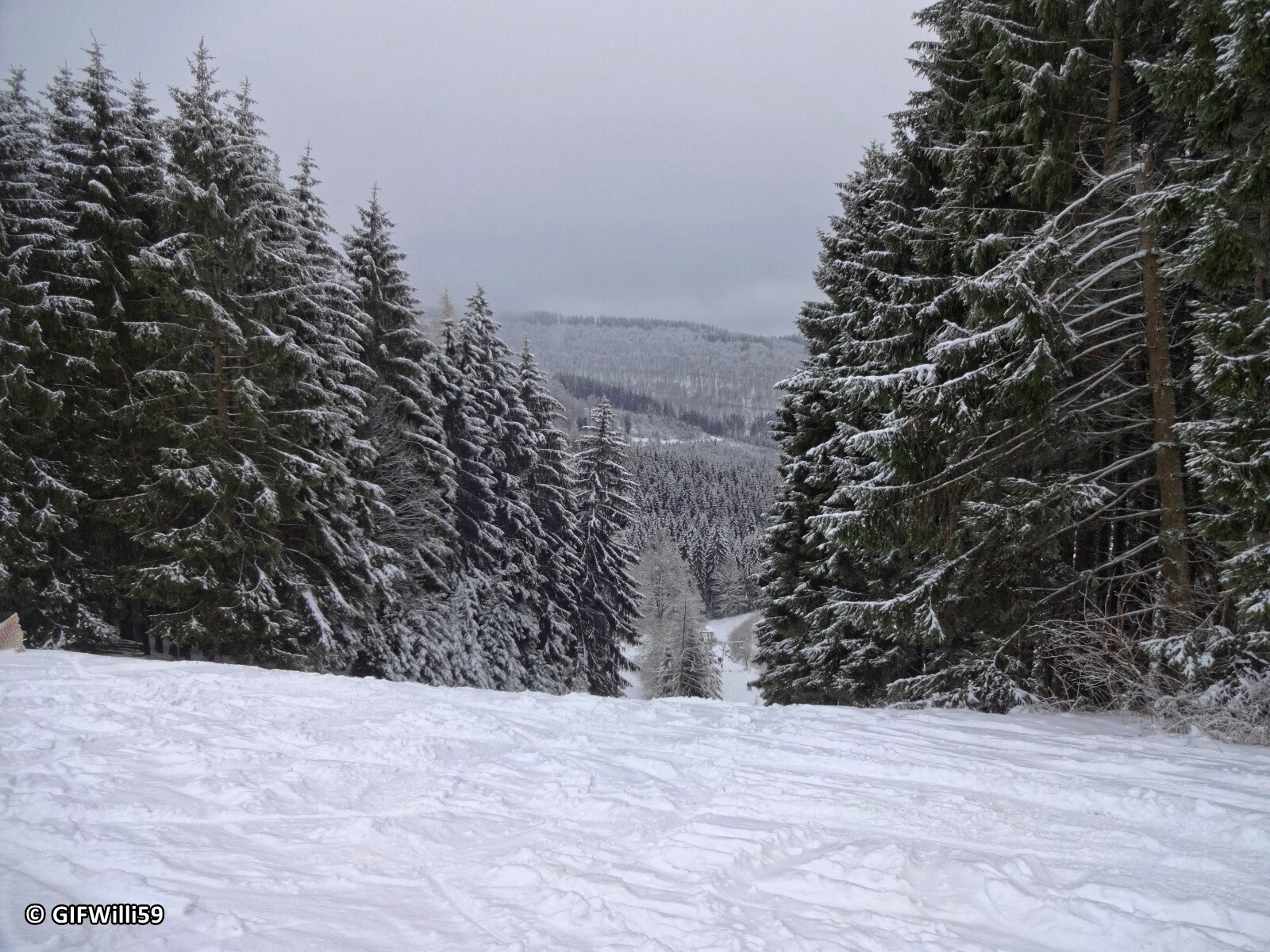 DSC05358_DxO.jpg