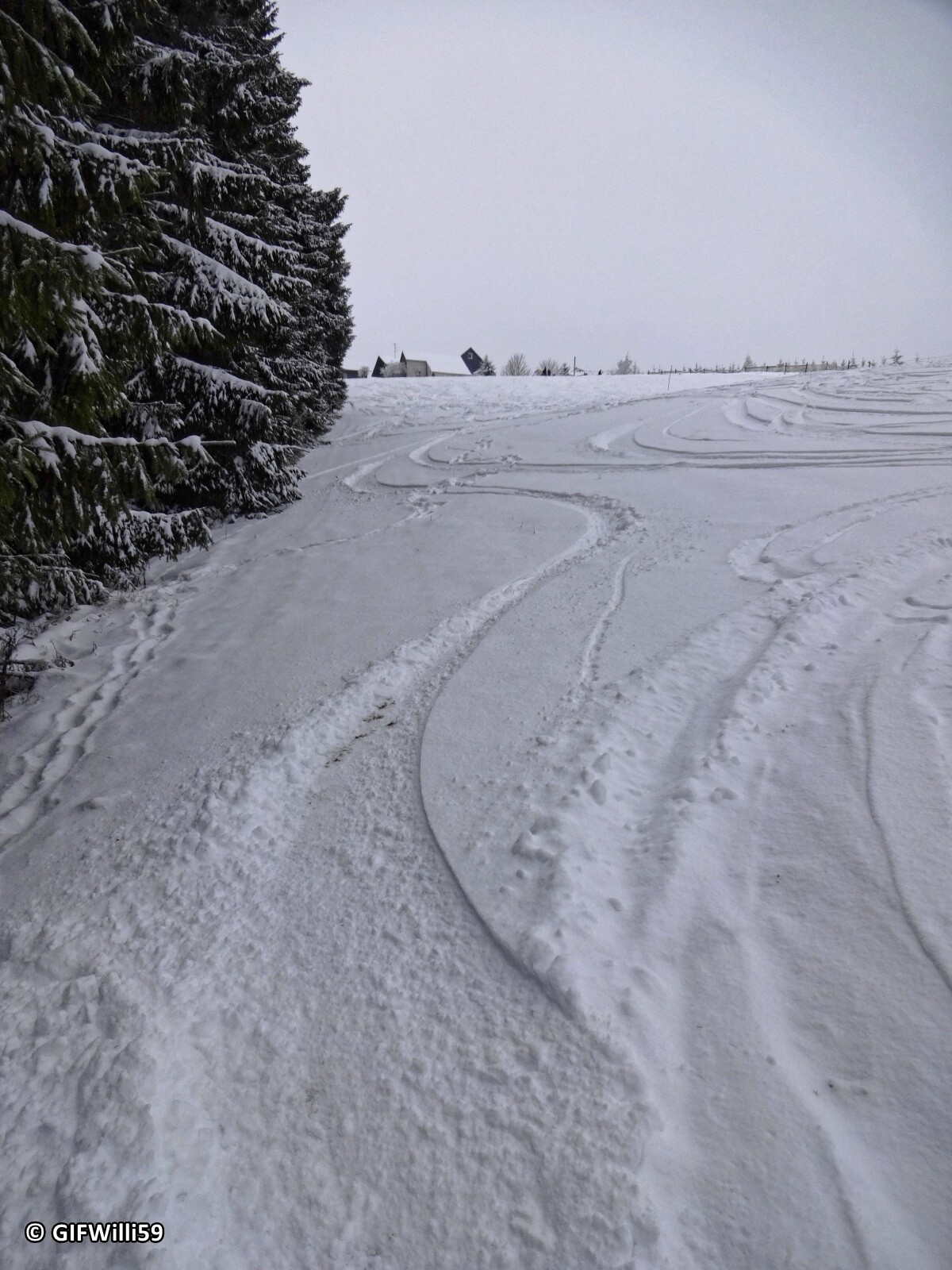 DSC05368_DxO.jpg