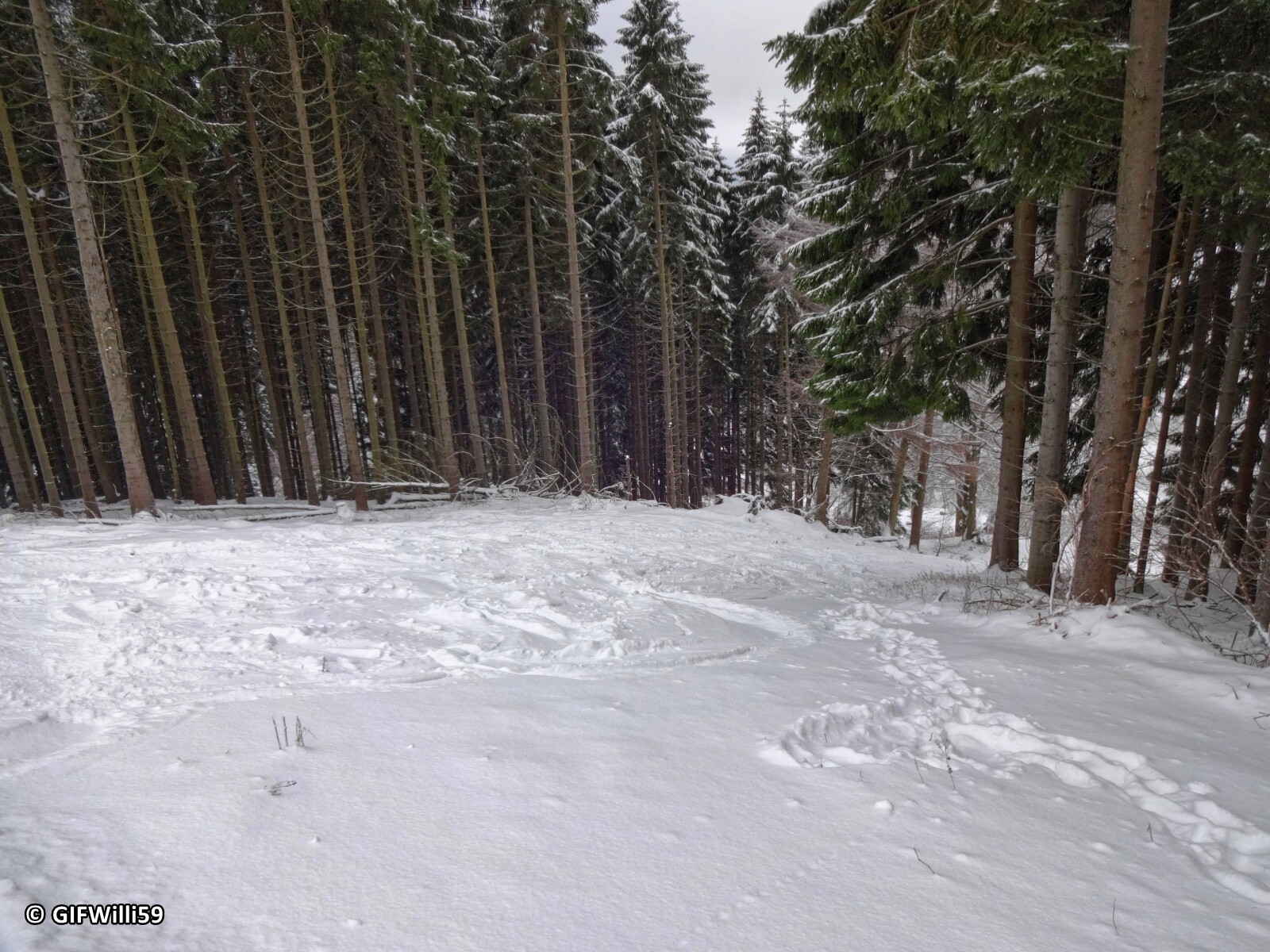 DSC05370_DxO.jpg
