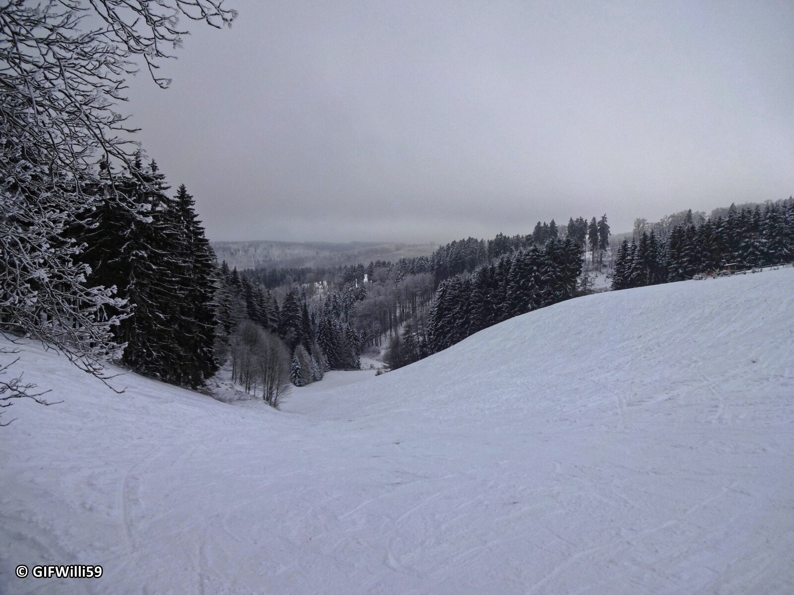 DSC05377_DxO.jpg