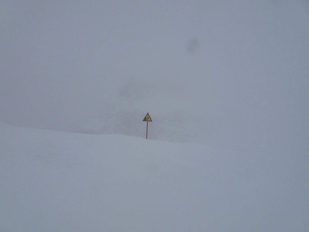 DSC05382.jpg