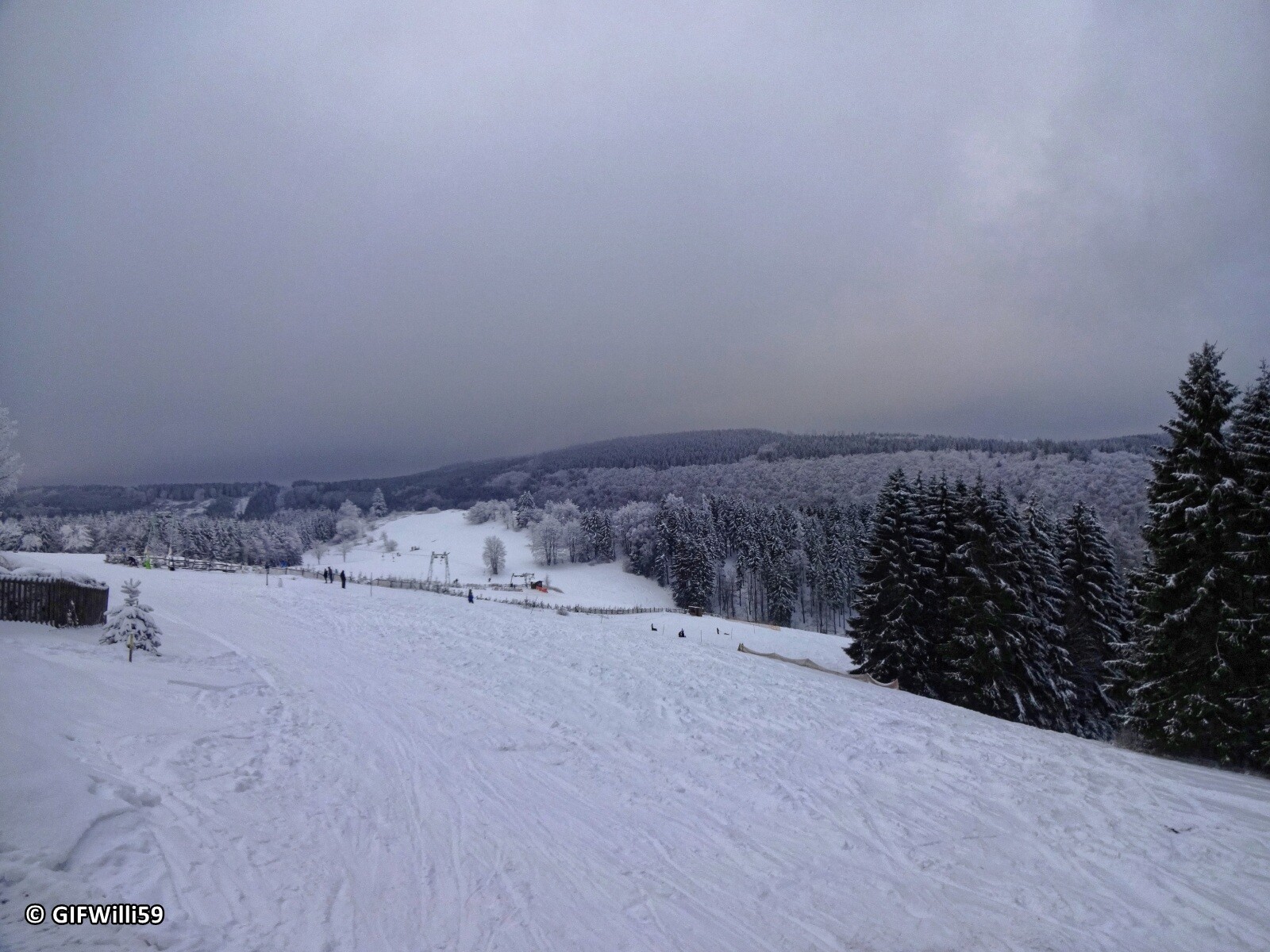 DSC05405_DxO.jpg