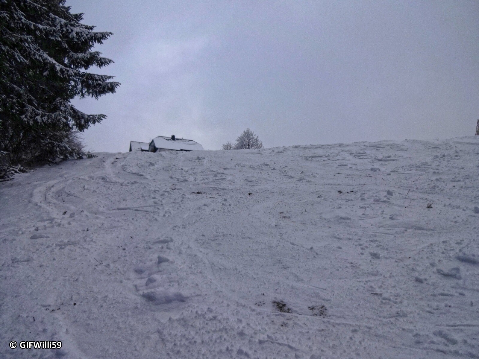 DSC05409_DxO.jpg