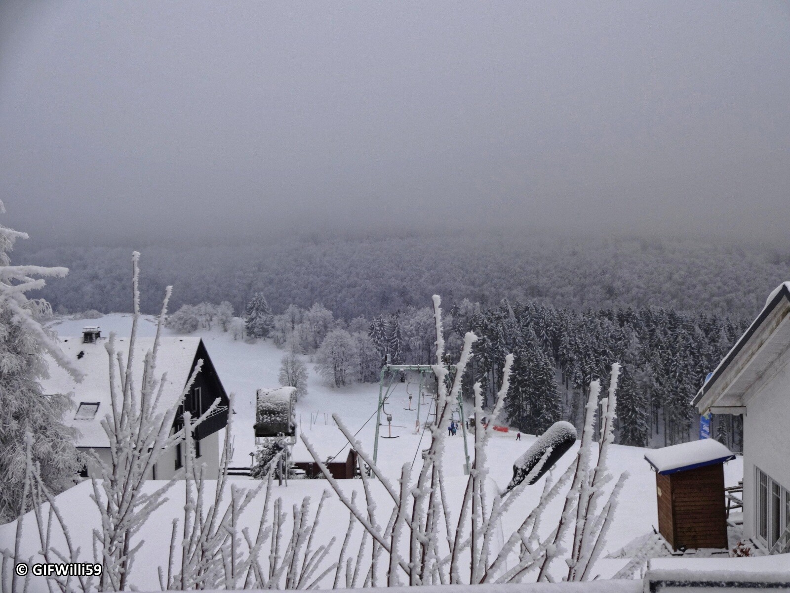 DSC05423_DxO.jpg