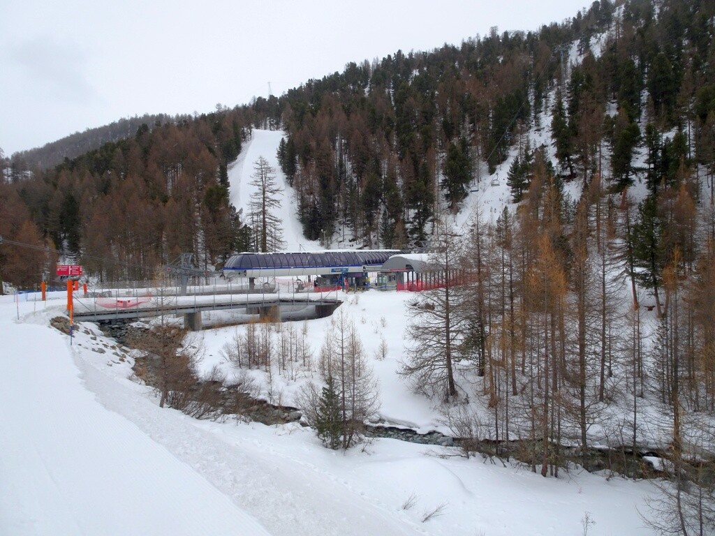 DSC05514.jpg