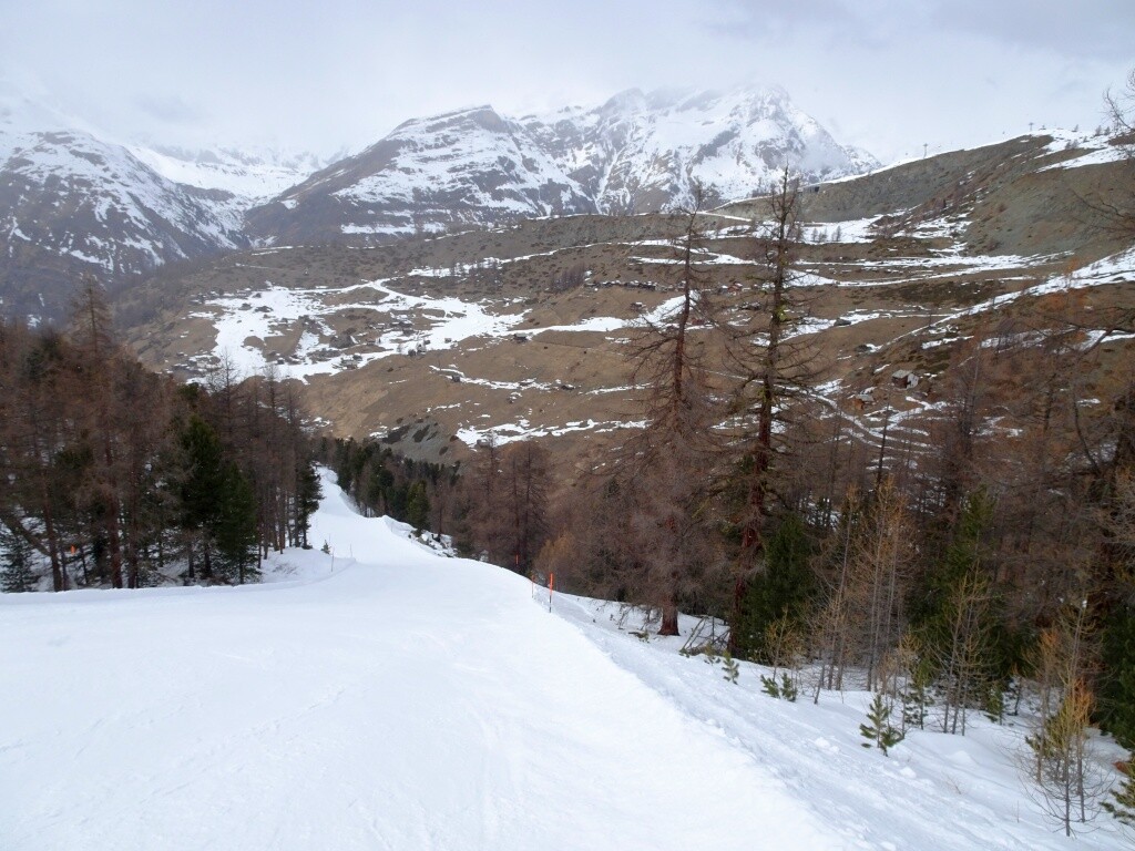 DSC05527.jpg