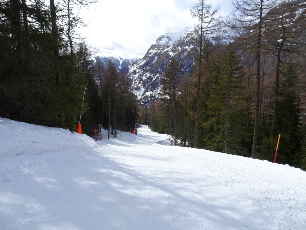 DSC05531.jpg