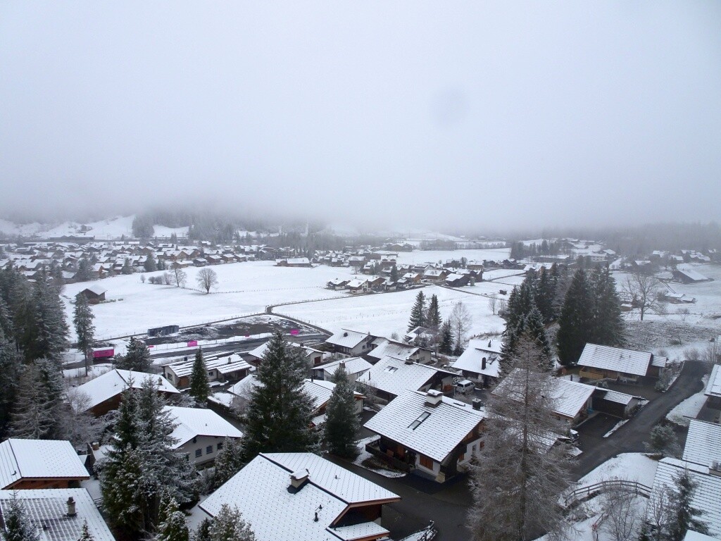 DSC05544.jpg