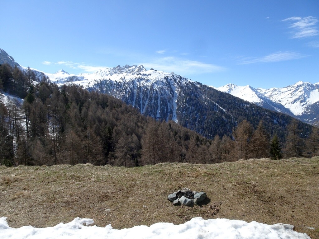 DSC05735.jpg
