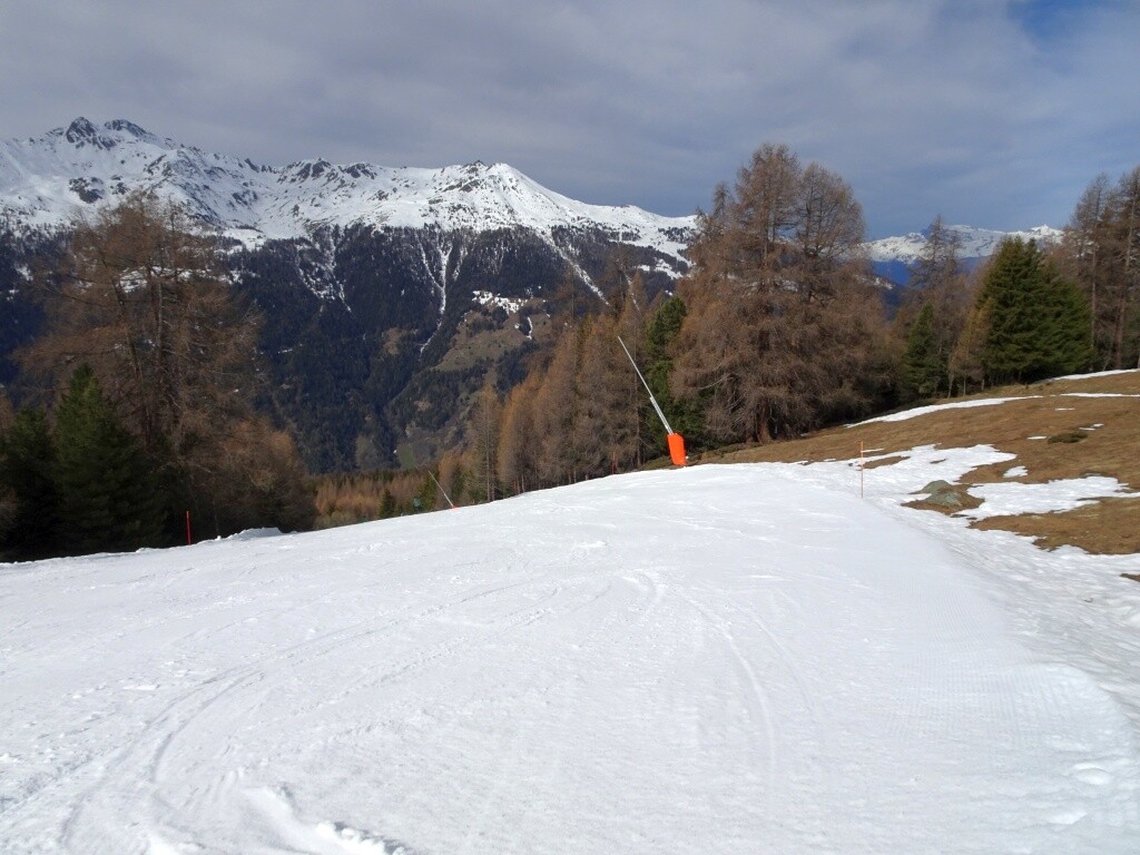 DSC06011.jpg