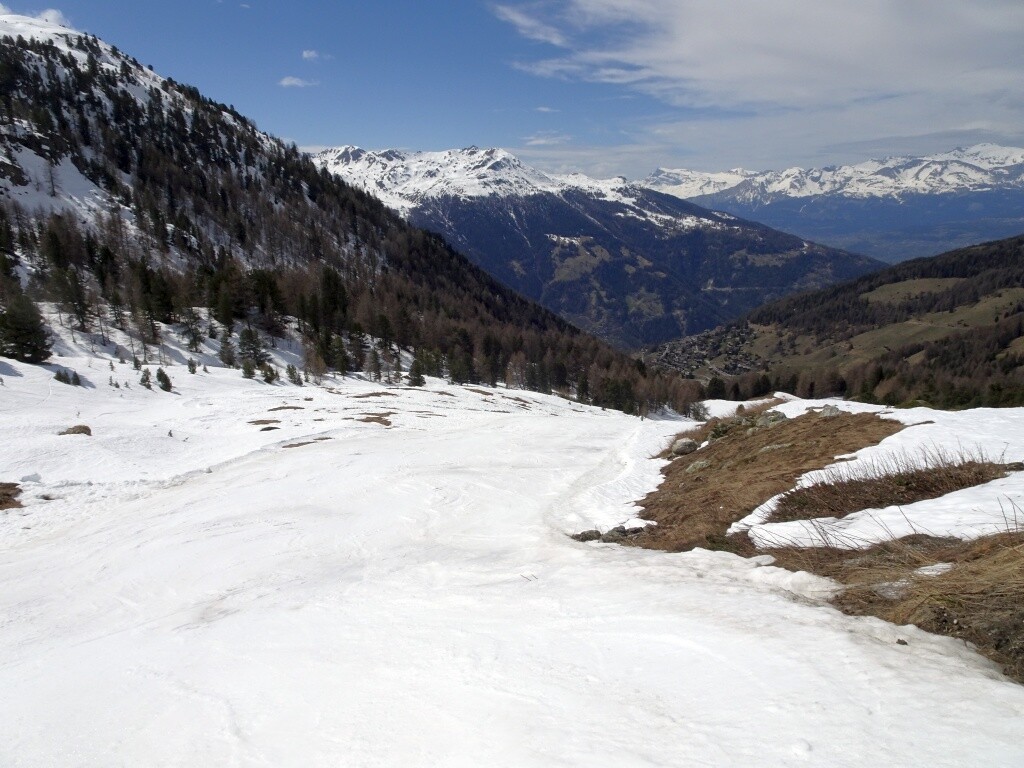 DSC06051.jpg