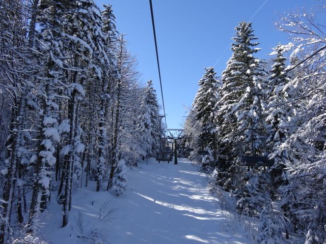DSC07410.jpg