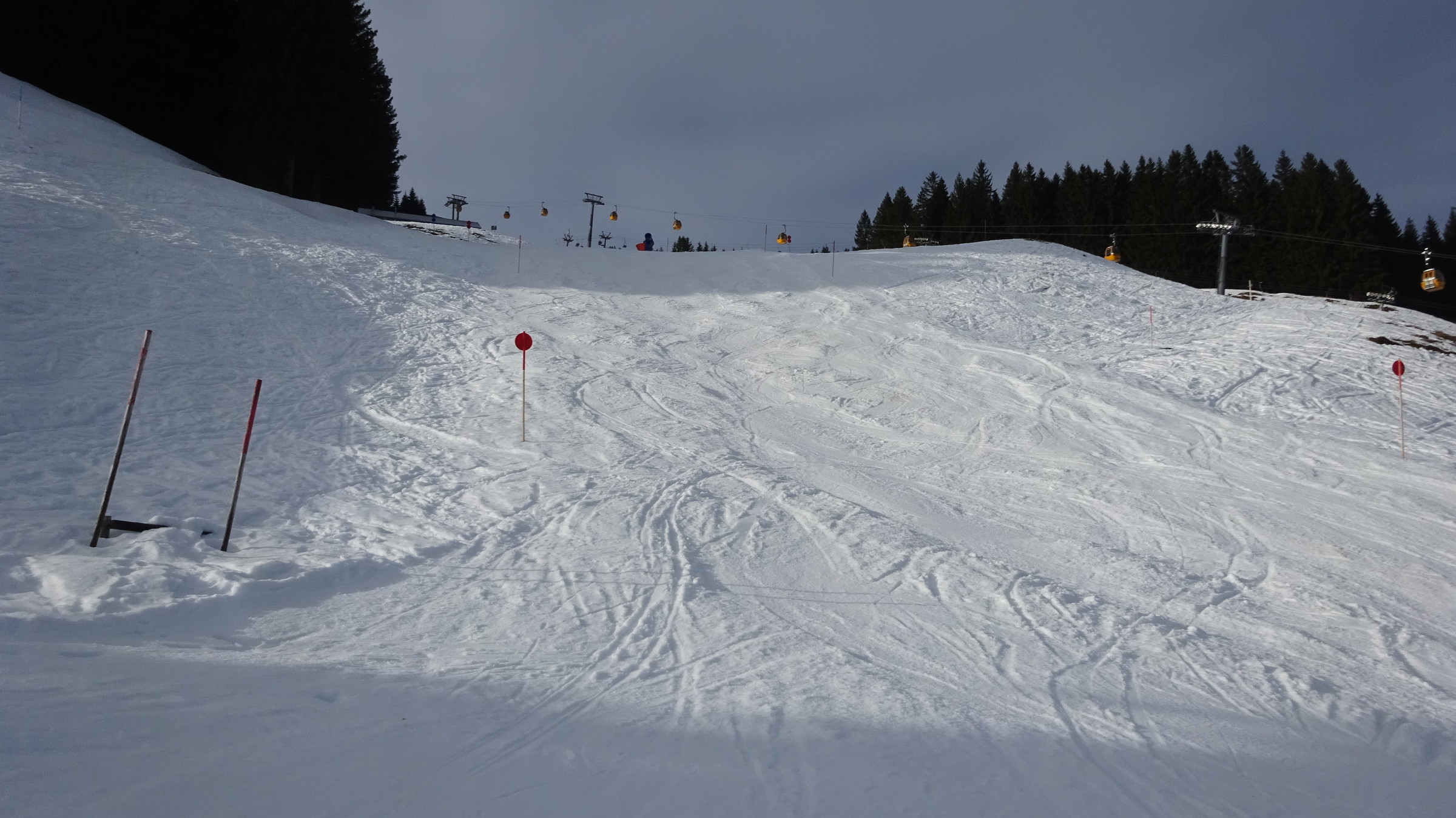DSC07502.JPG